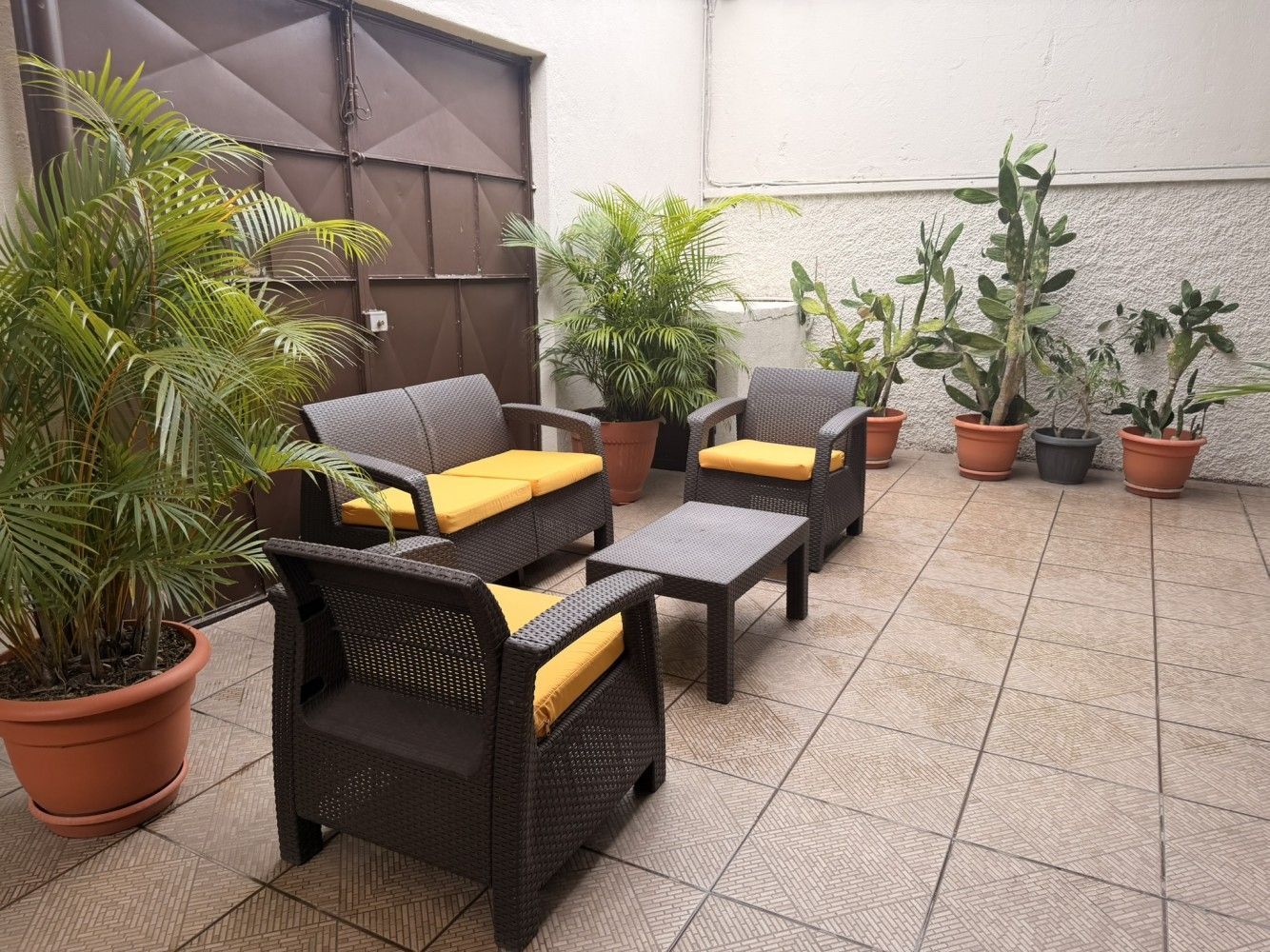 Zona de estar al aire libre con sillas de mimbre, cojines amarillos, mesa y plantas.
