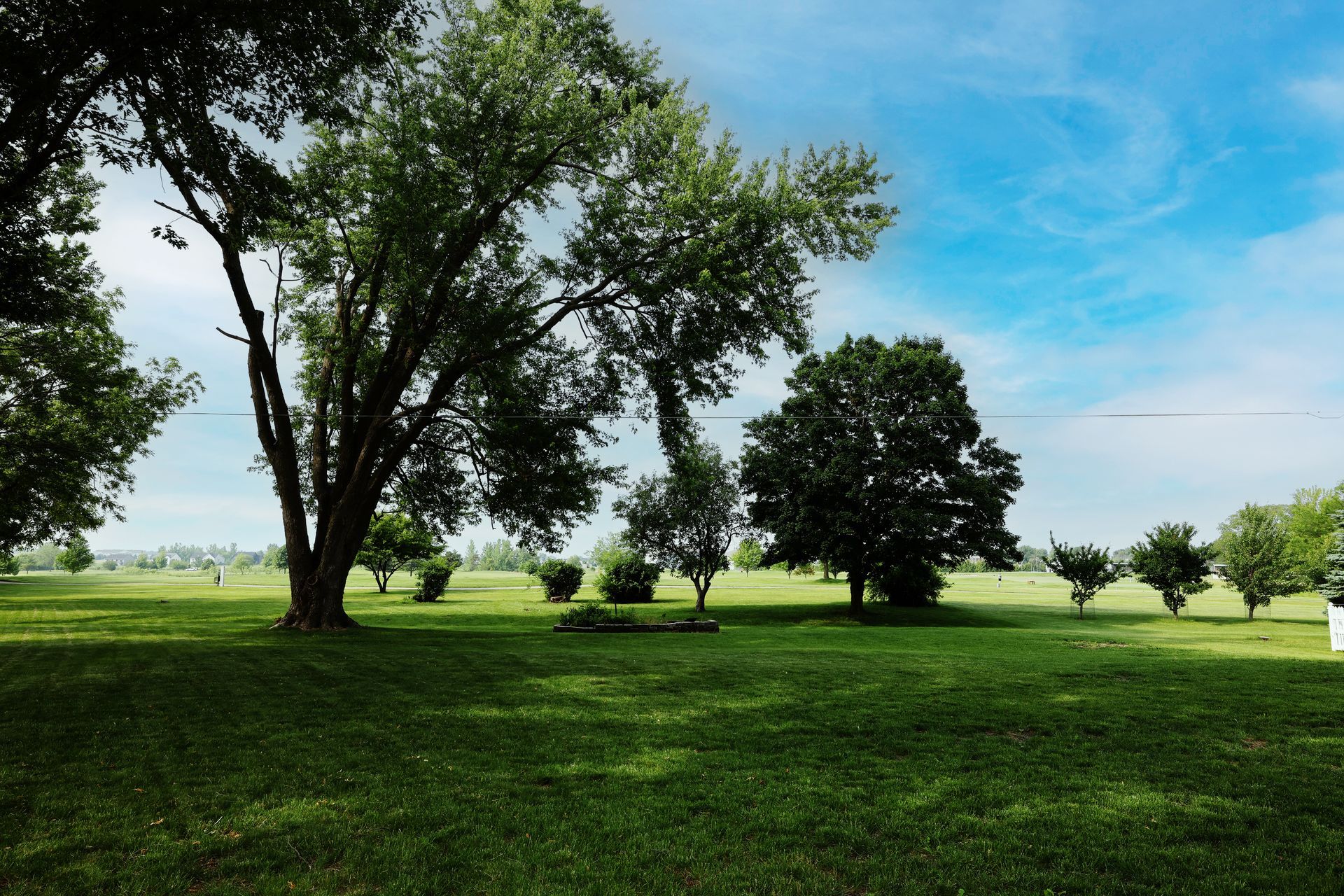 Green park with large trees, open grassy field, and a bright blue sky