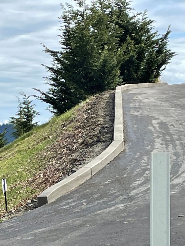 A road with a curb and a tree on the side of it