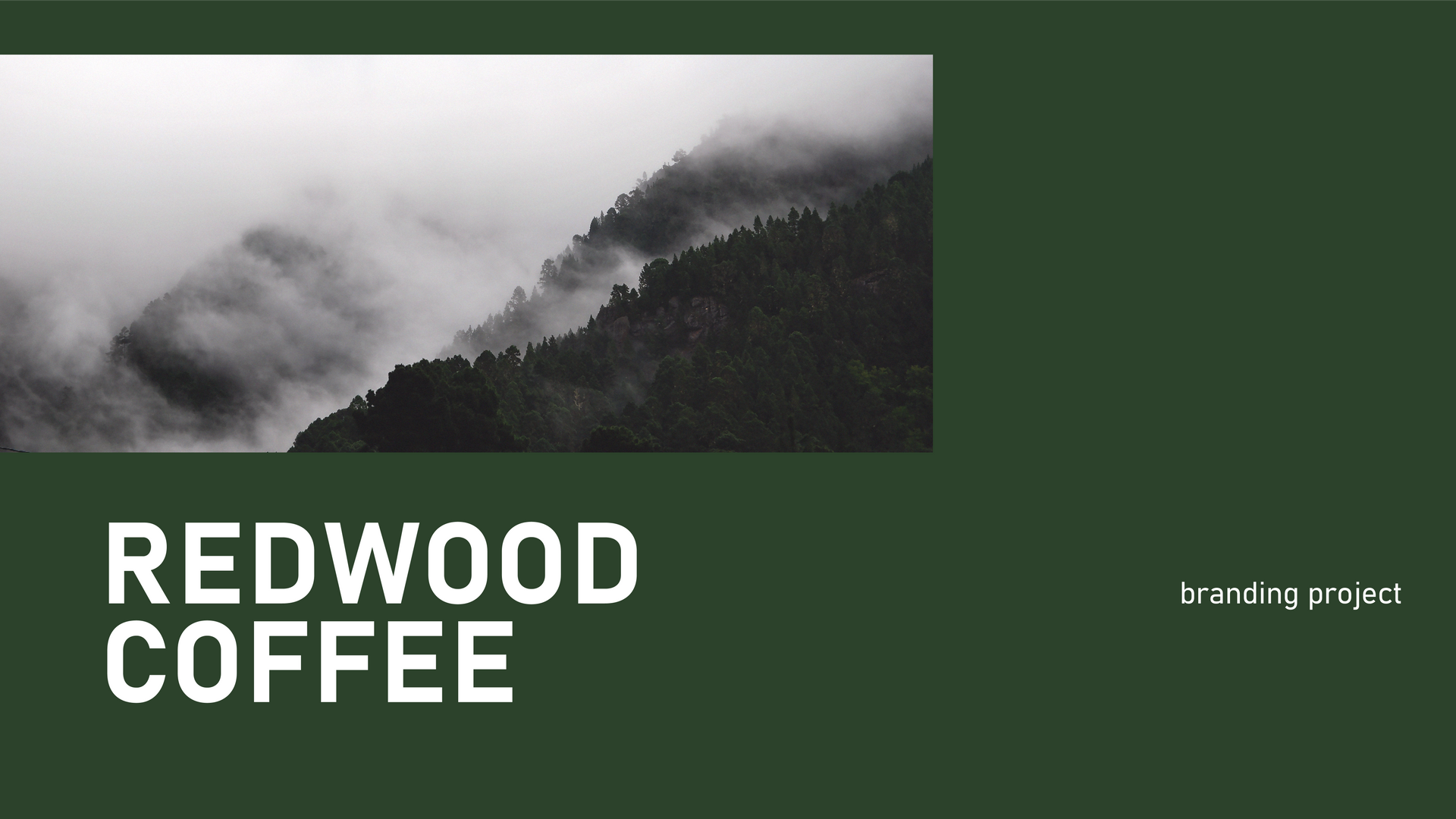 Dark green Redwood Coffee branding with a misty forest photo and white logo text