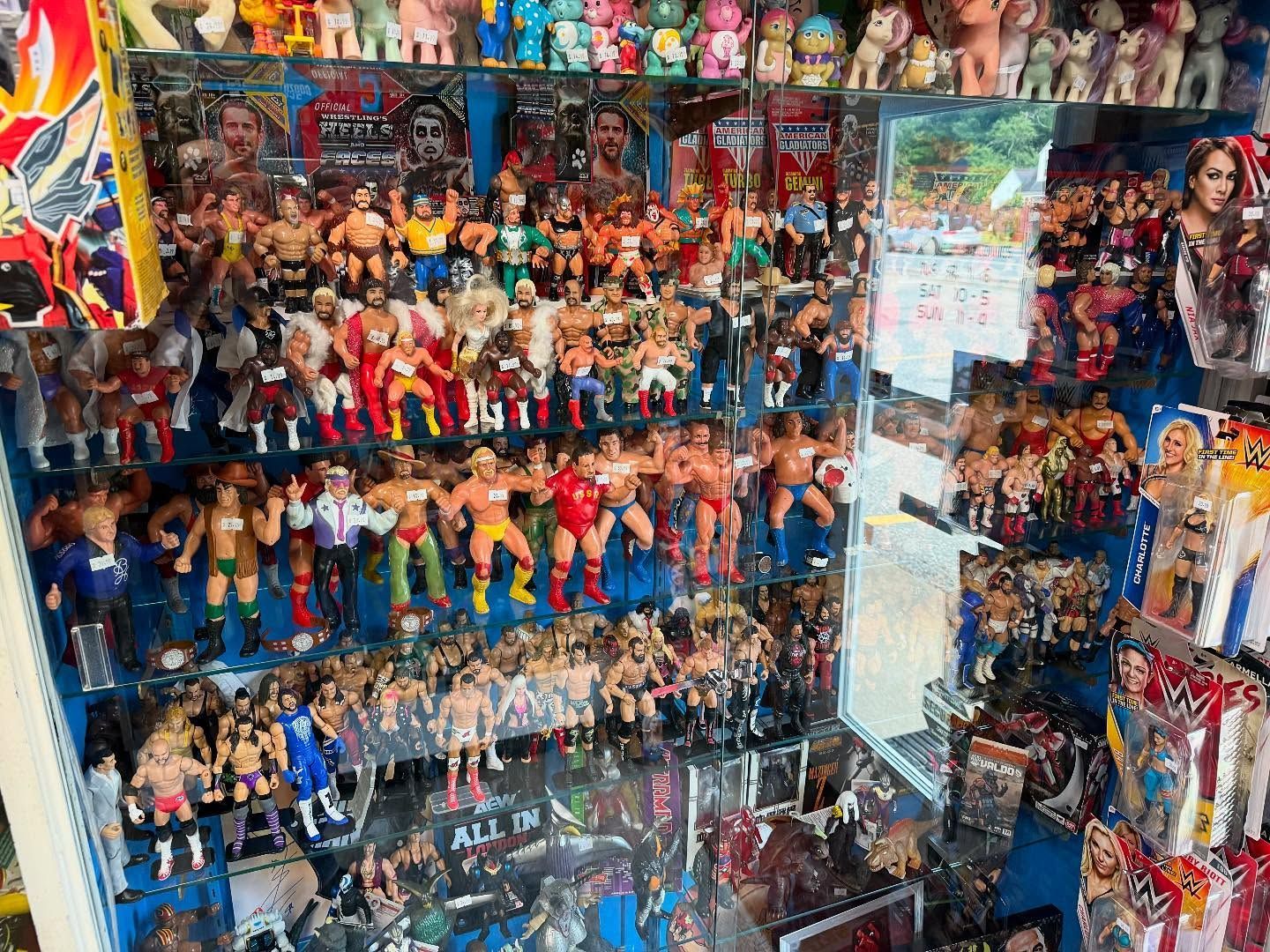 wrestler toys near springfield ma