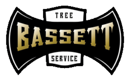 A black and gold logo for tree bassett service