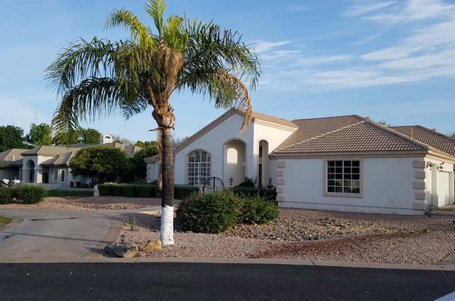 A white house with a palm tree in front of it