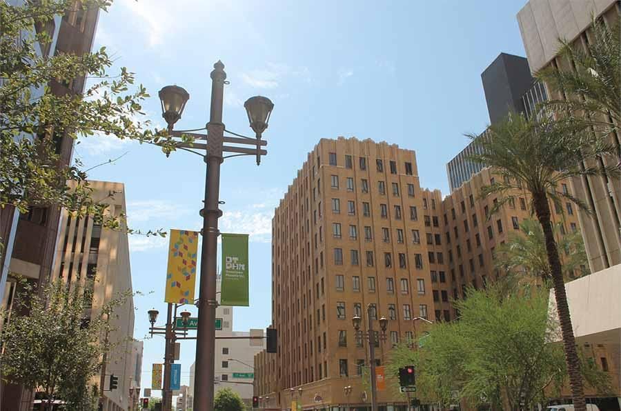 A city street with tall buildings and palm trees on a sunny day.