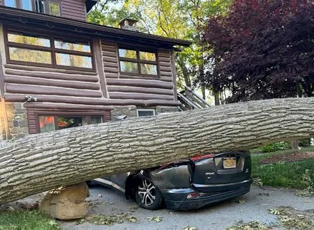 Fallen tree trunk crushing a parked black car beside a log cabin in a yard