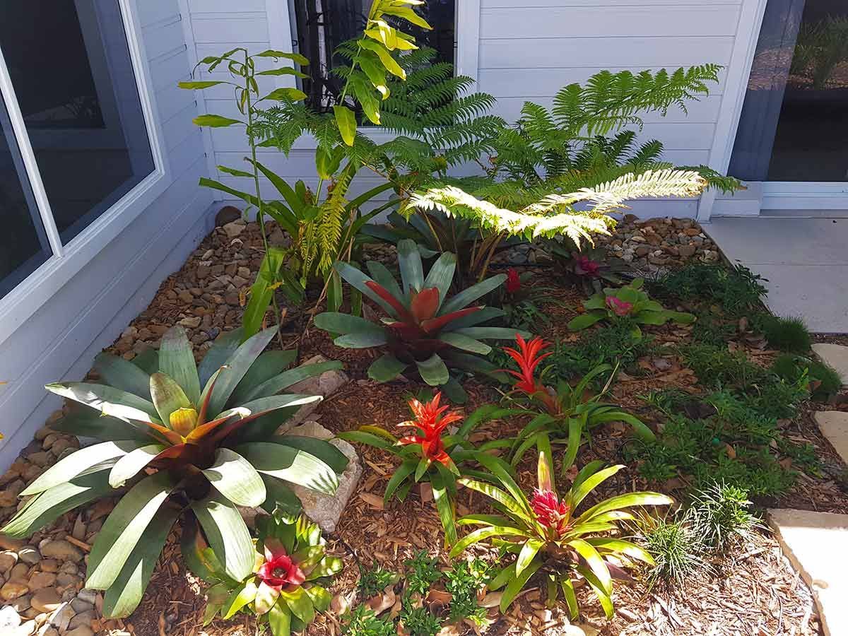 A Garden With Lots of Plants and Flowers in Front of a House — Full Circle Landscaping in Currumbin Valley, QLD