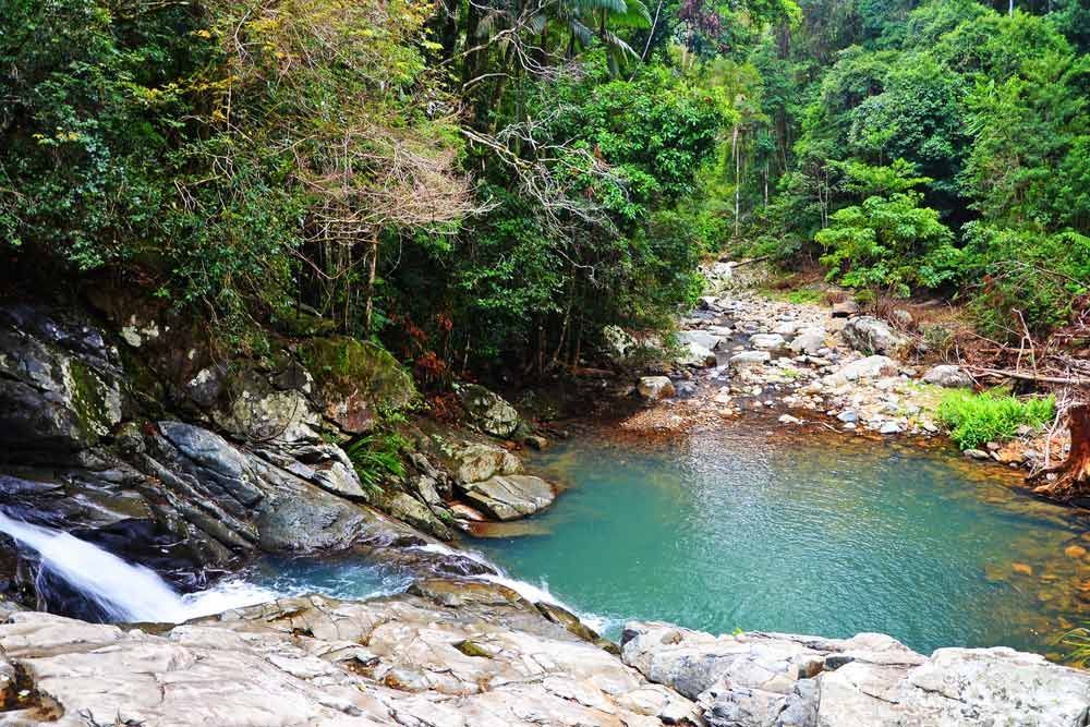 A Small Waterfall in the Middle of a Lush Green Forest— Full Circle Landscaping in Currumbin Valley, QLD
