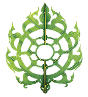 Full Circle Landscaping: Experienced Landscaper in the Northern Rivers Full Circle Landscaping: Experienced Landscaper in the Northern Rivers