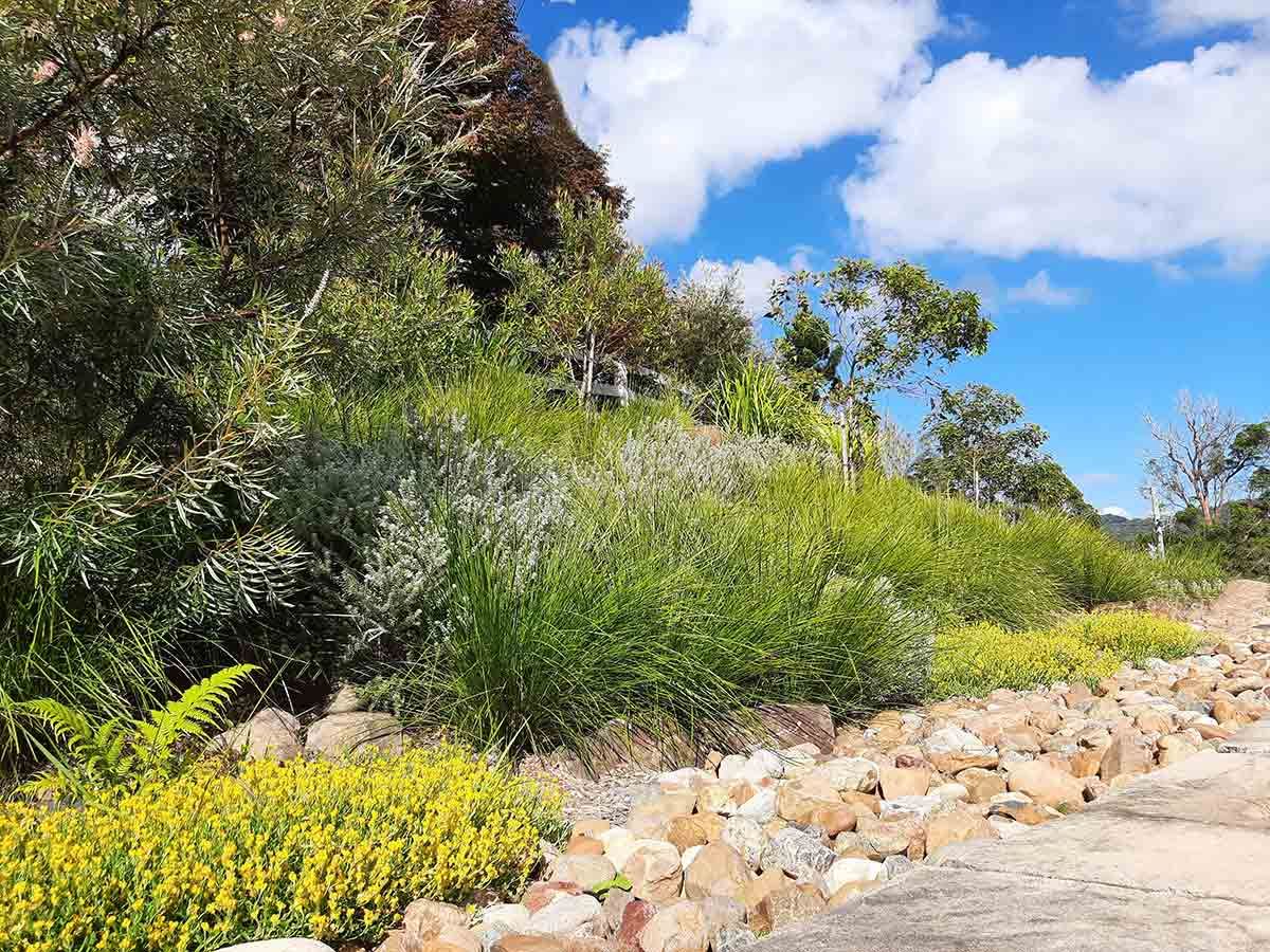 A Dirt Road Surrounded by Trees and Flowers on a Sunny Day — Full Circle Landscaping in Currumbin Valley, QLD