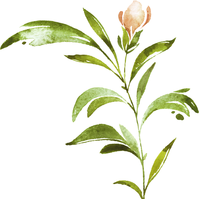 a watercolor painting of a flower with green leaves