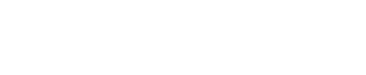 Professional Roofing Services on the Gold Coast Professional Roofing Services on the Gold Coast