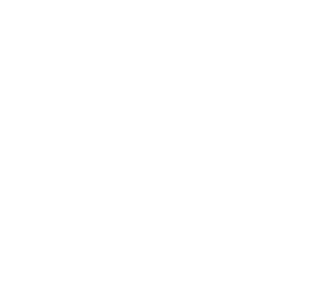 Professional Roofing Services on the Gold Coast Professional Roofing Services on the Gold Coast