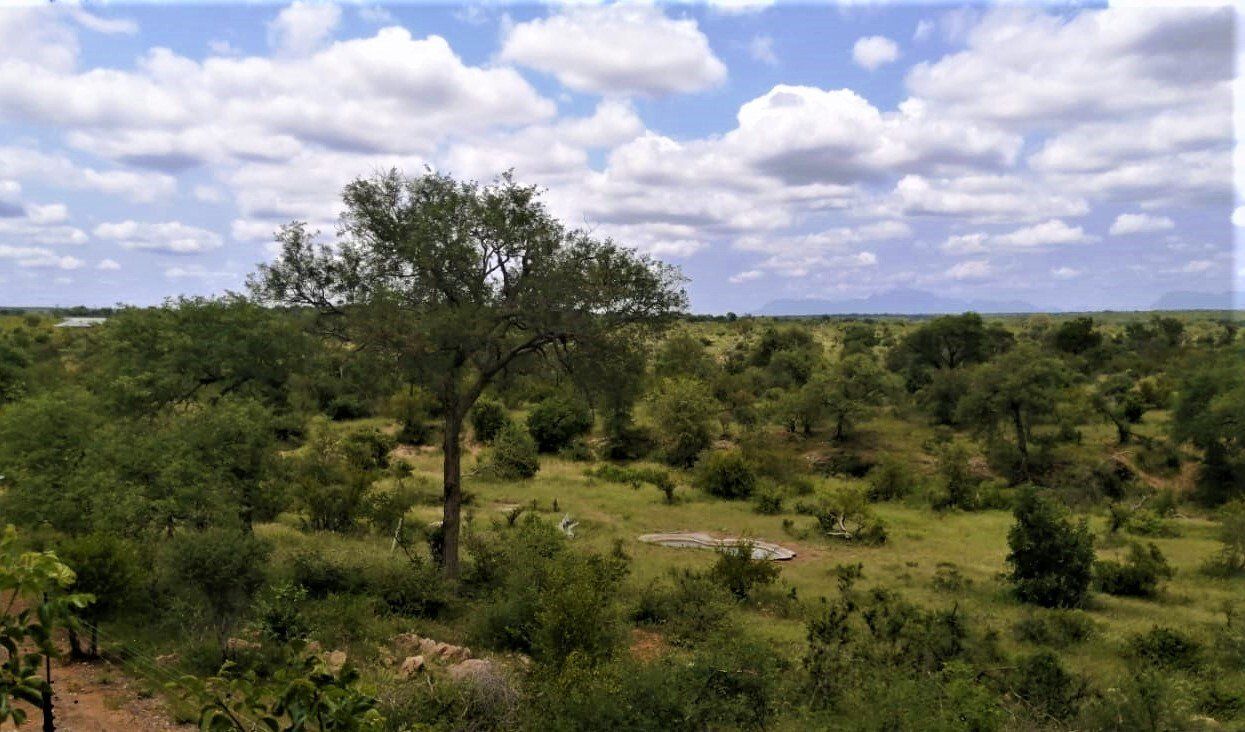 A view of a lush green field with trees and clouds in the sky.
