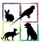 Give Pets a Chance 5K run and dog walk in Wooster