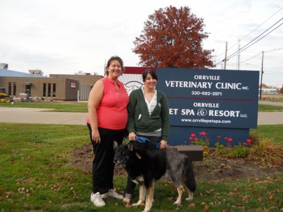 Sarah's Pause Paws for a Cause to the Rescue!