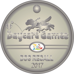 Name Recall Dog Gurus Daycare Games