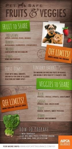 Fruits & Veggies that are safe to Share