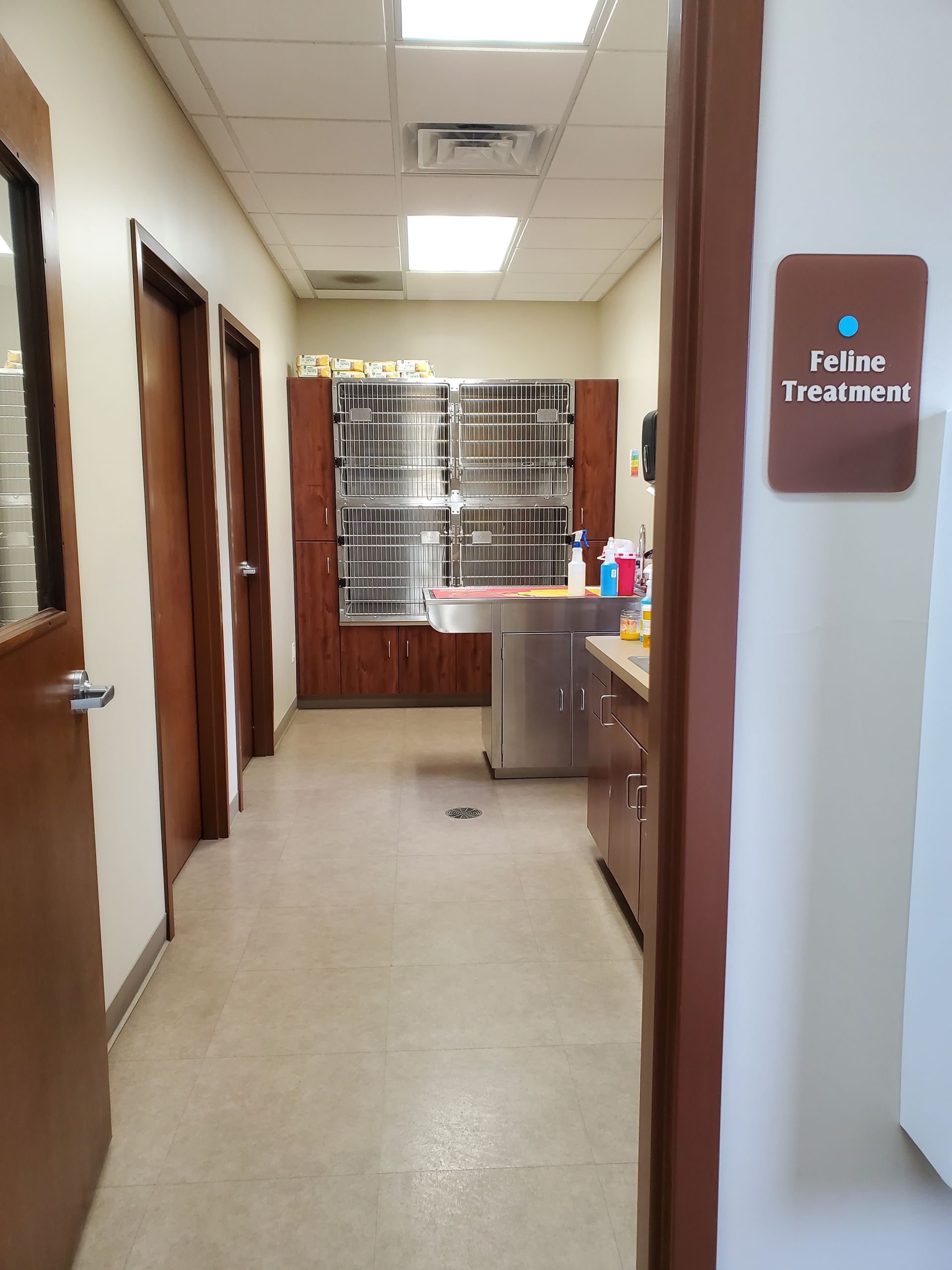 feline treatment room
