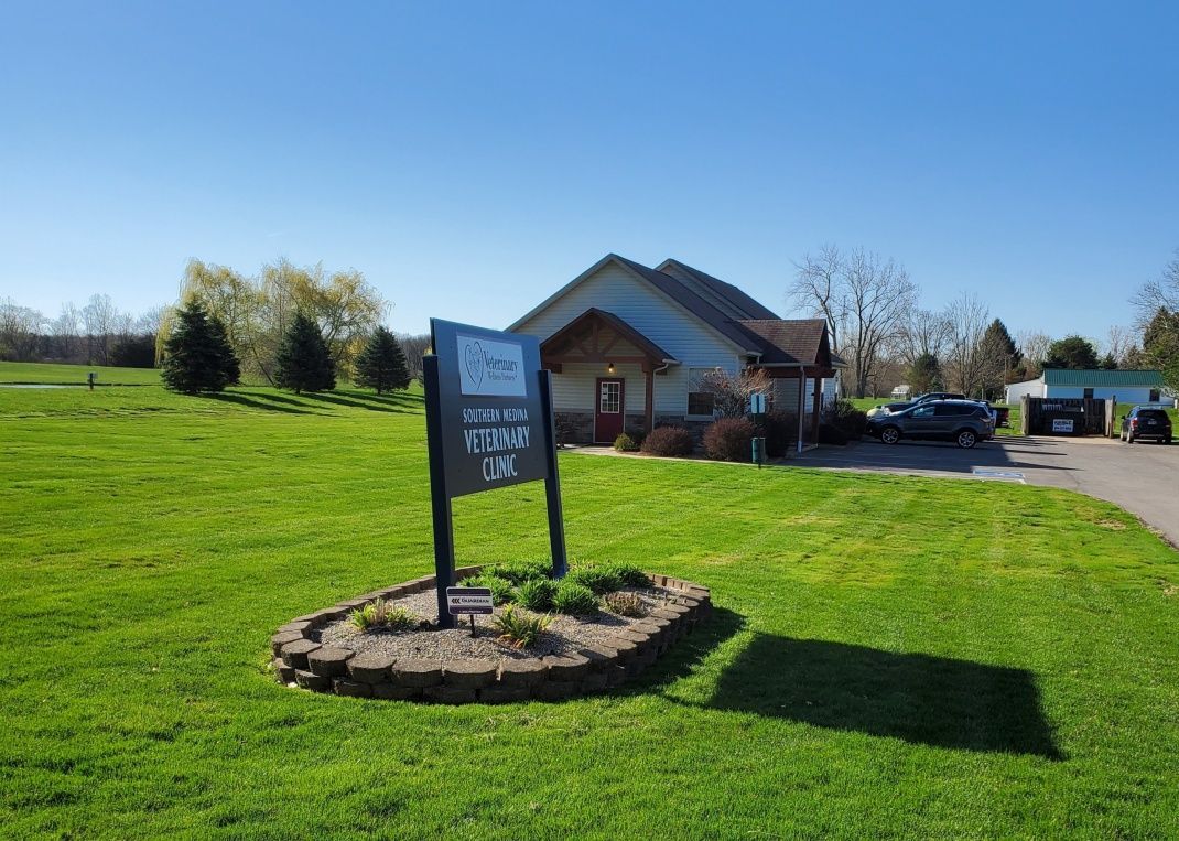 seville wadsworth vet clinic sign