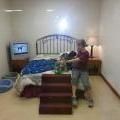 dog and person on bed with tv in background