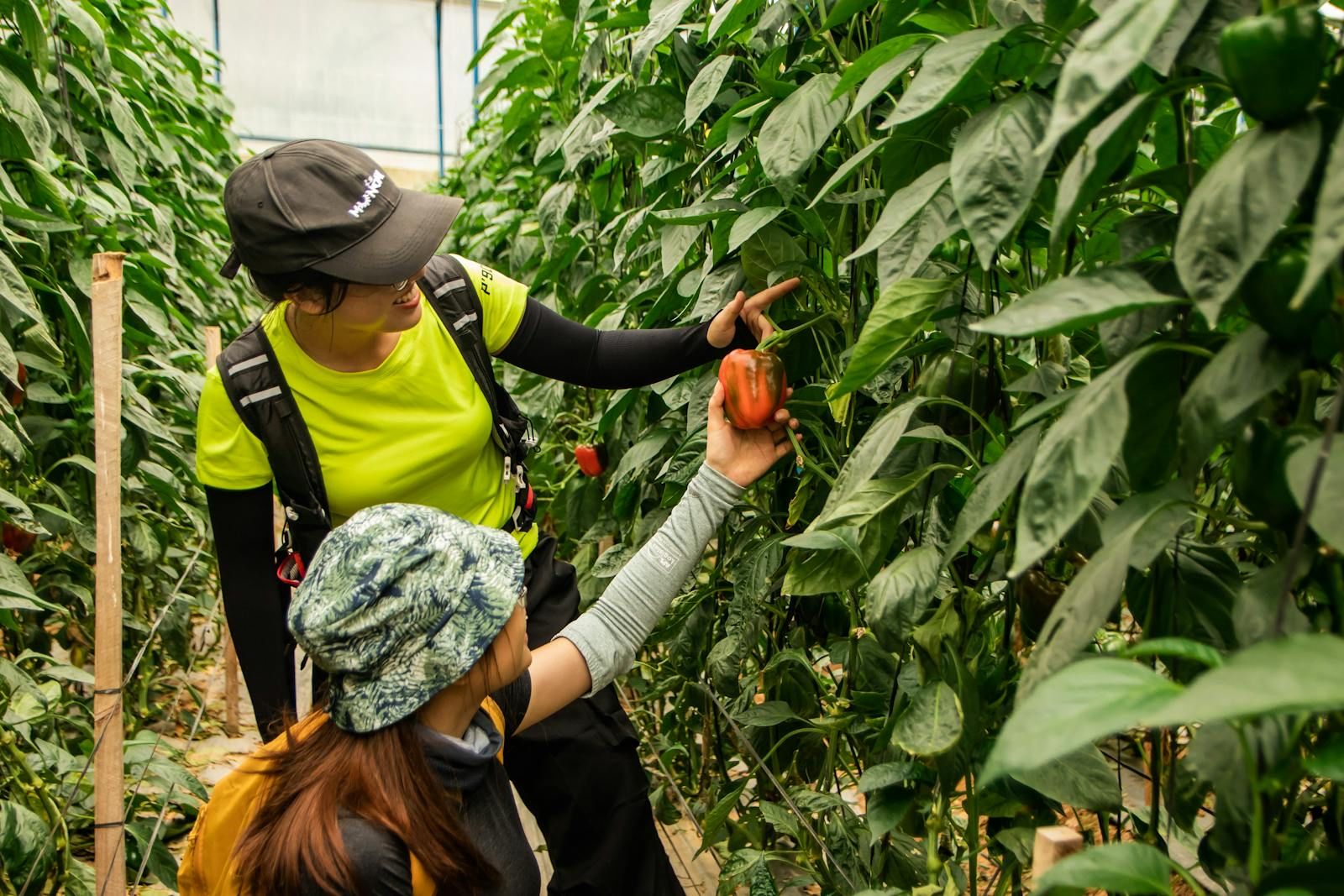 Tackling Global Food Insecurity with Container Farming Solutions