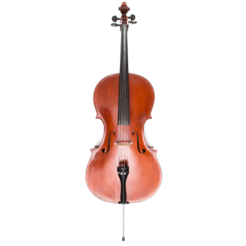 violin