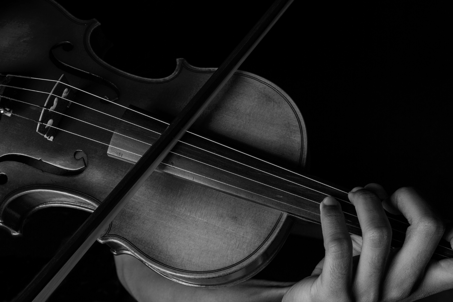 VIOLIN