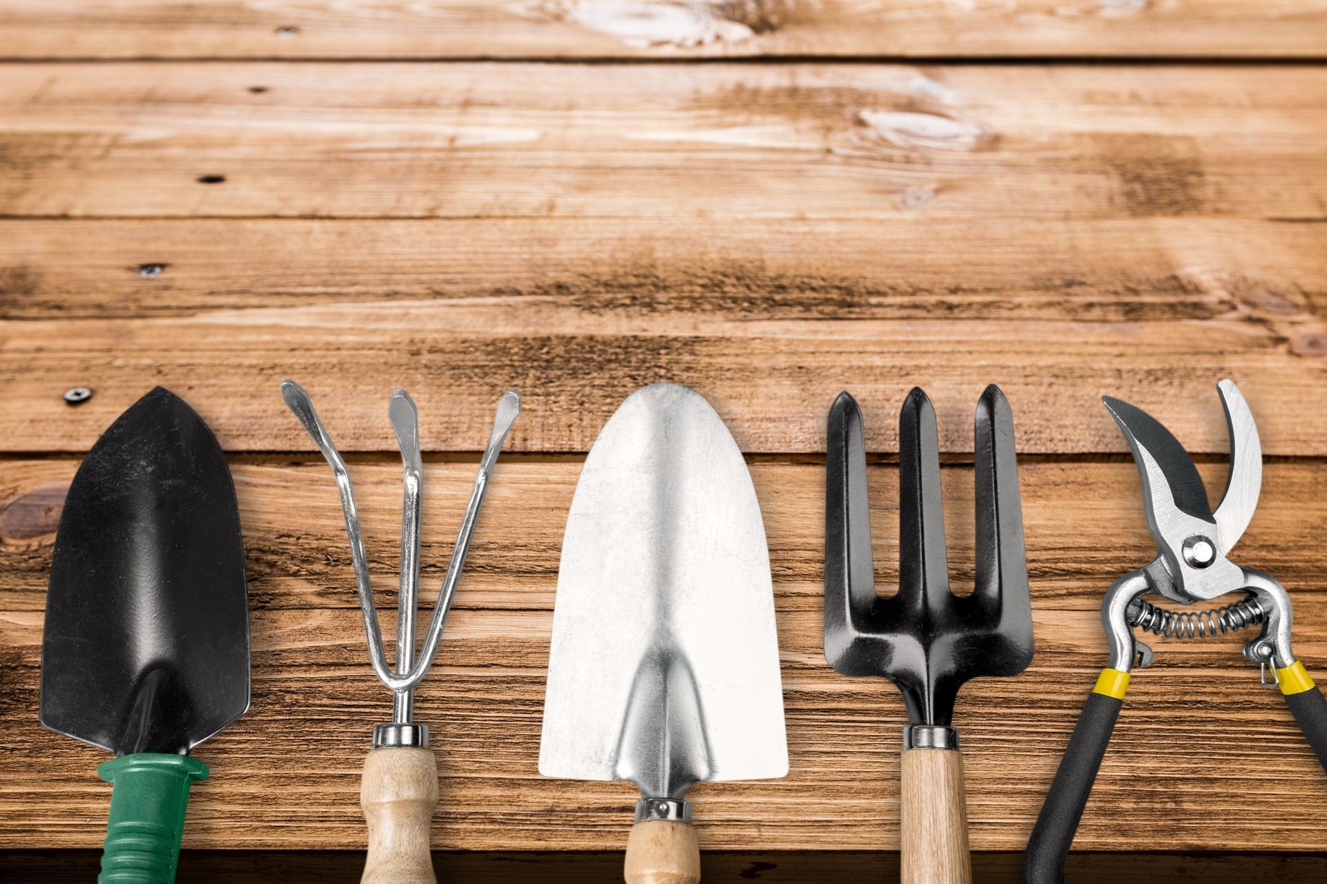 A row of five gardening tools, including trowels, a cultivator, and pruning shears, laid out on a rustic wooden table.