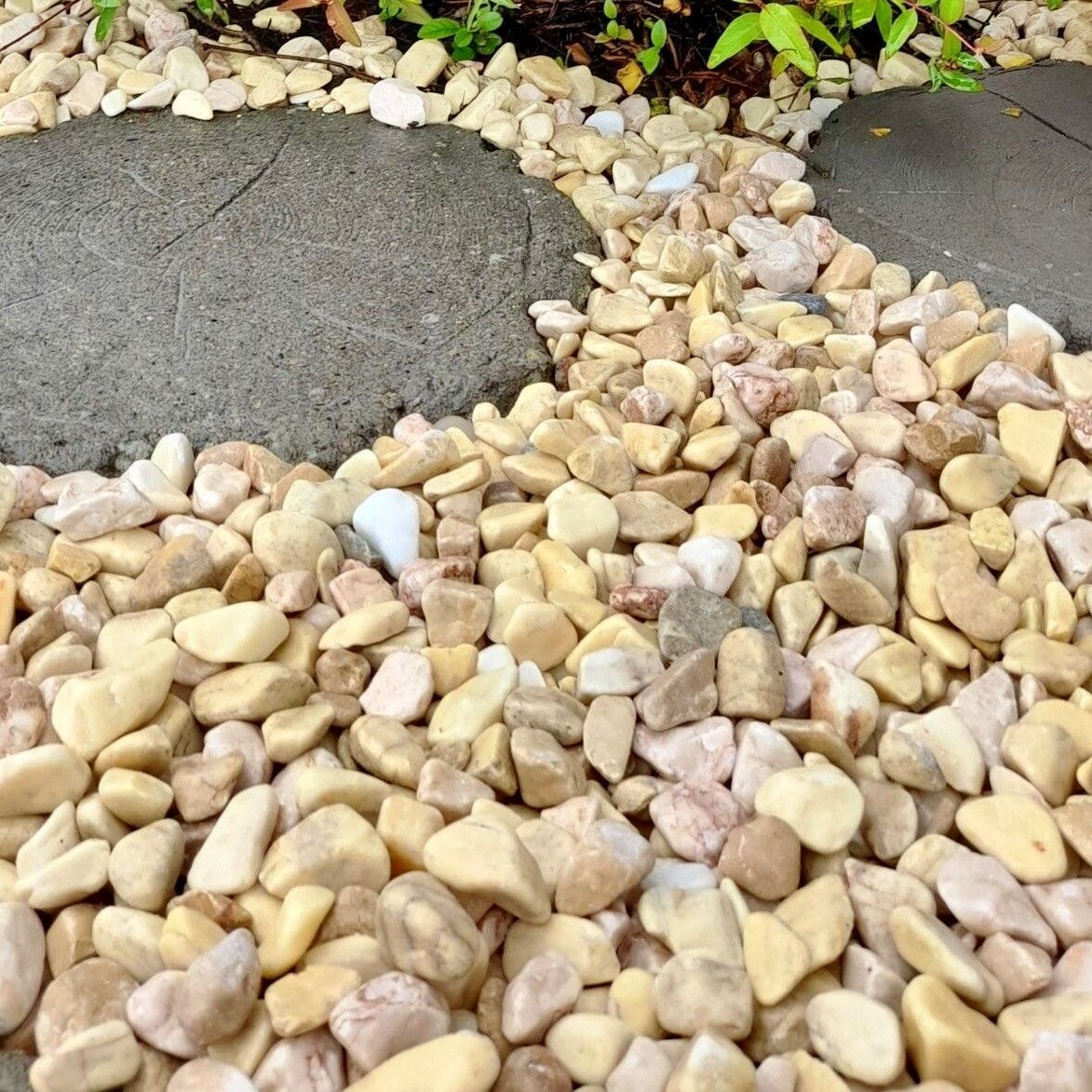 Smooth, light-tan decorative garden pebbles surround large, flat grey stone pavers in a backyard pathway.