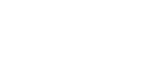 CWS 100 waterproofing systems logo