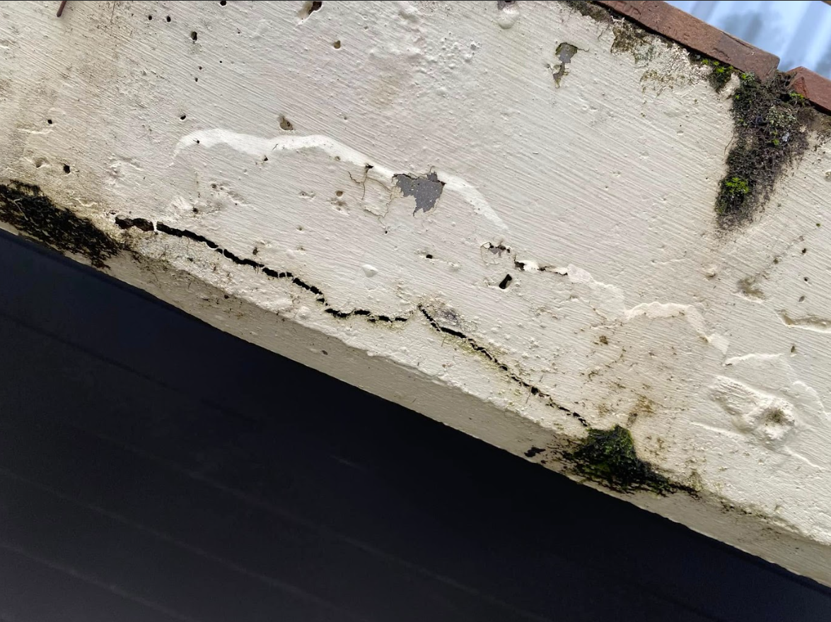 Close-up of peeling white paint and cracked concrete on a weathered wall edge with dark mould spots