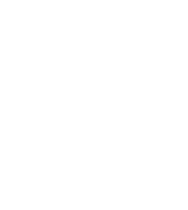 The City of New Orleans