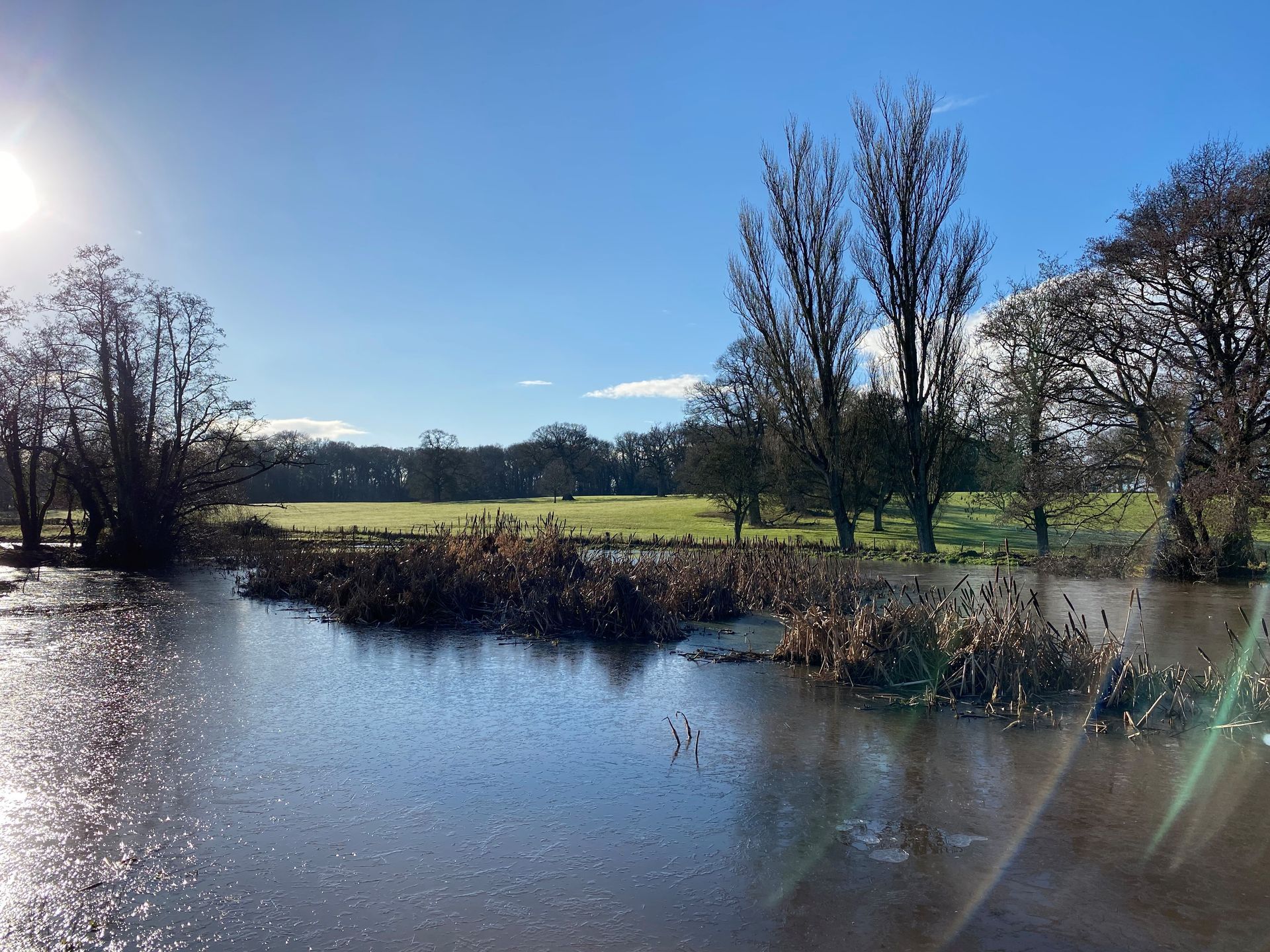 a large body of water surrounded by trees on a sunny day