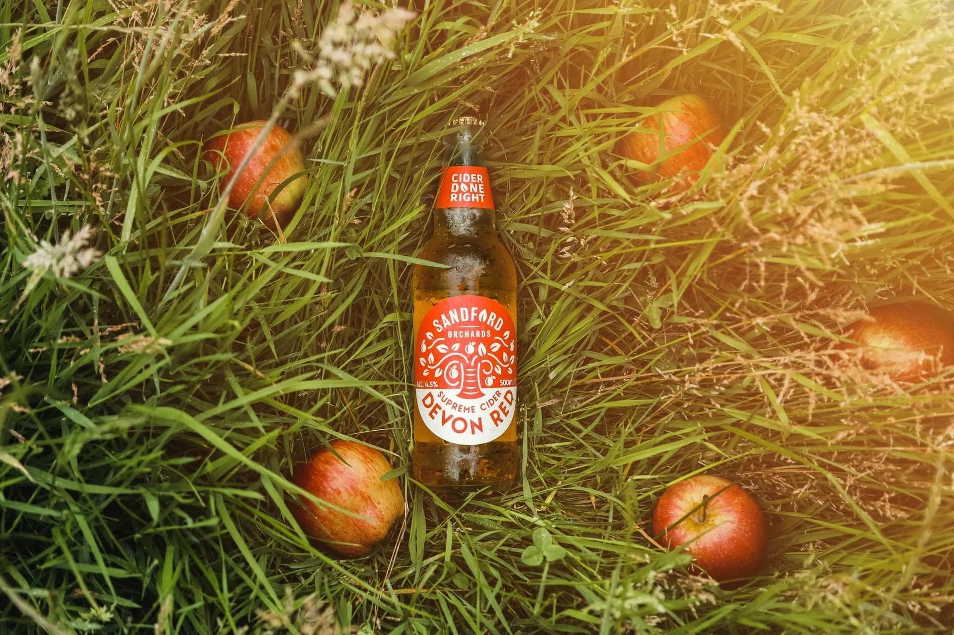 A bottle of Sandford Orchards cider in a field with some scattered apples