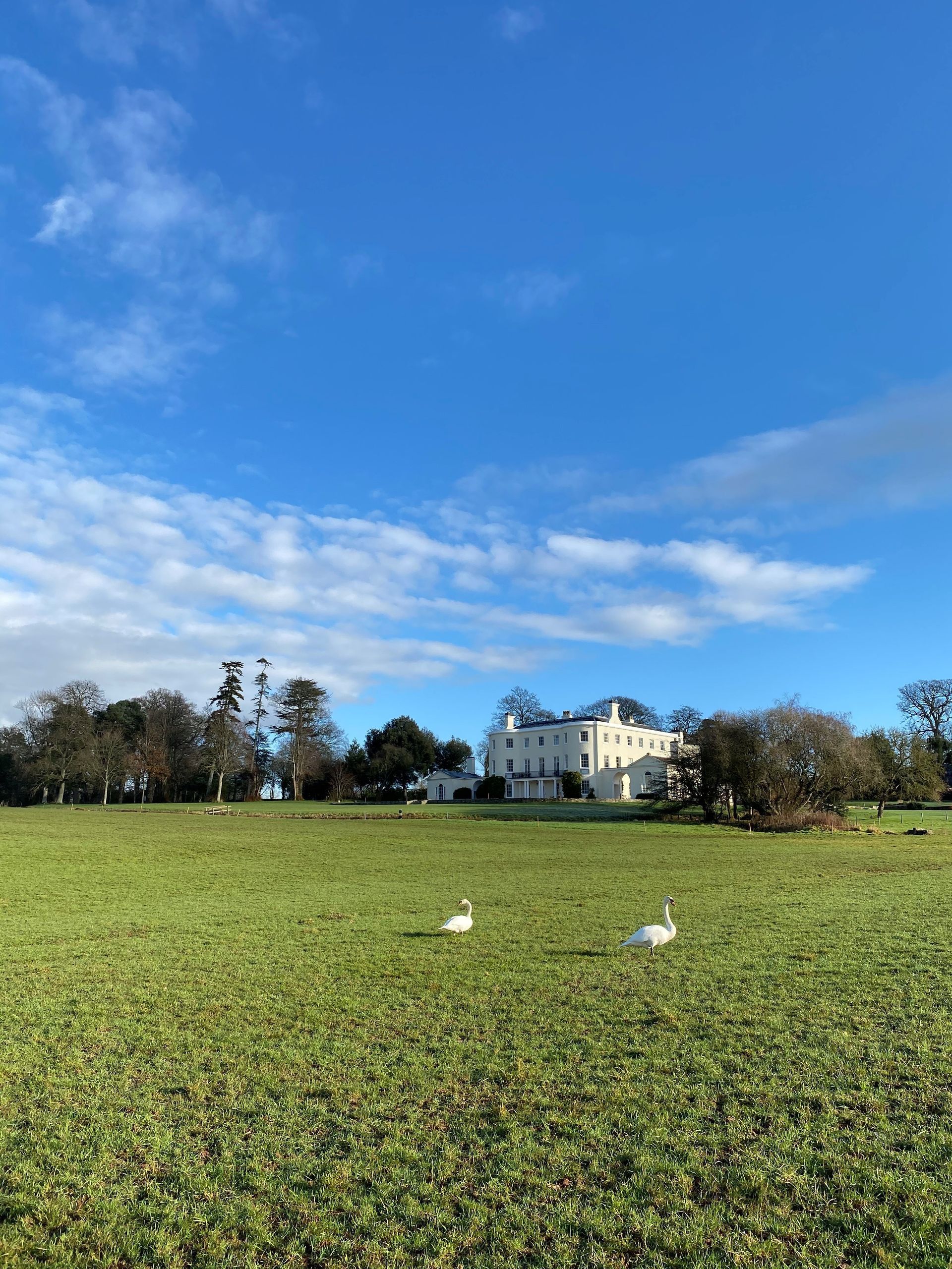 a large white house is sitting in the middle of a grassy field