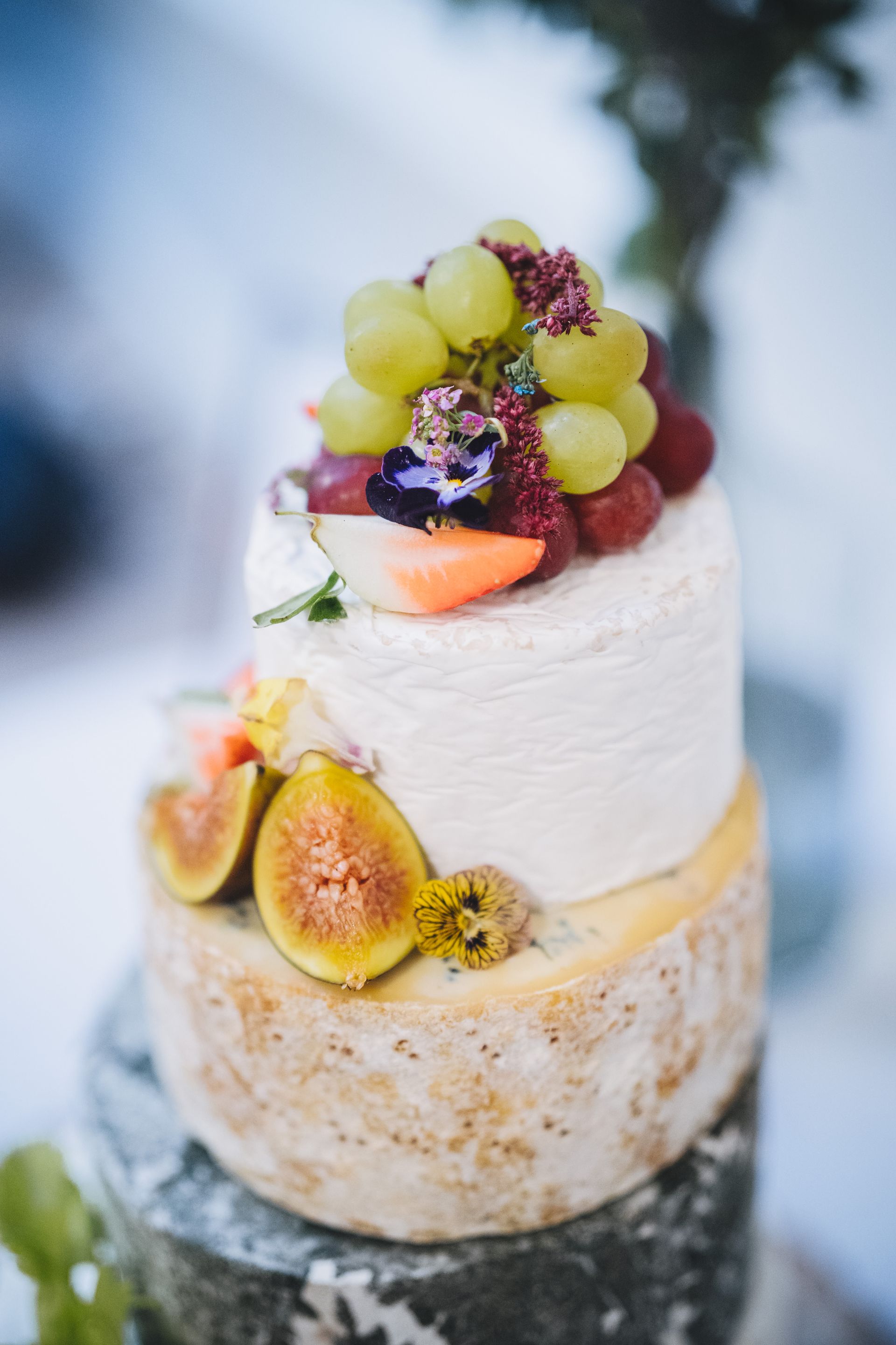 a cake made out of cheese and fruit is on a table .