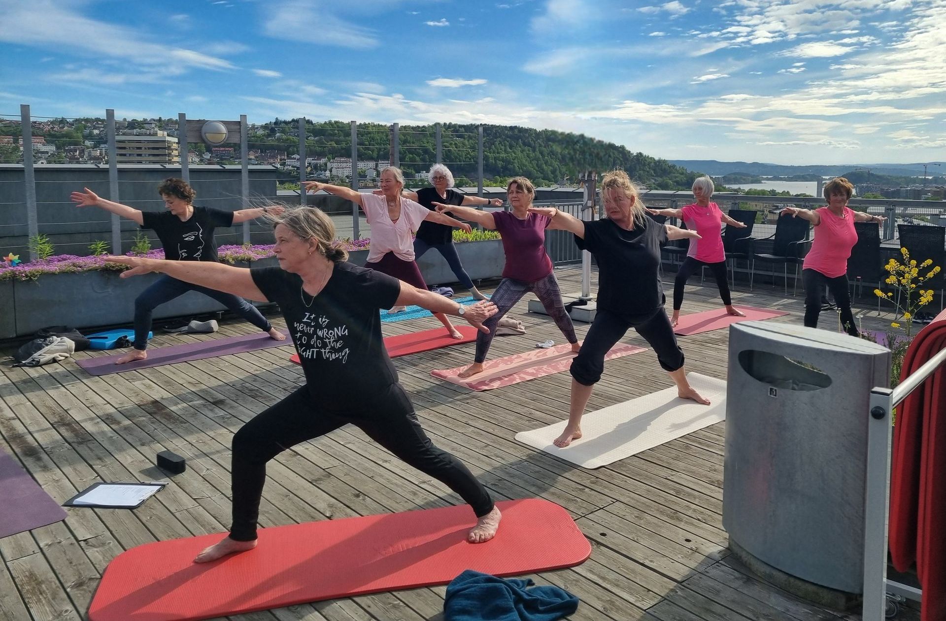 Yoga, senioryoga, stolyoga, vinyasa, restorative, private timer.