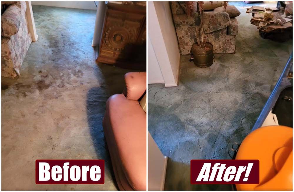 A before and after picture of a dirty carpet in a living room.