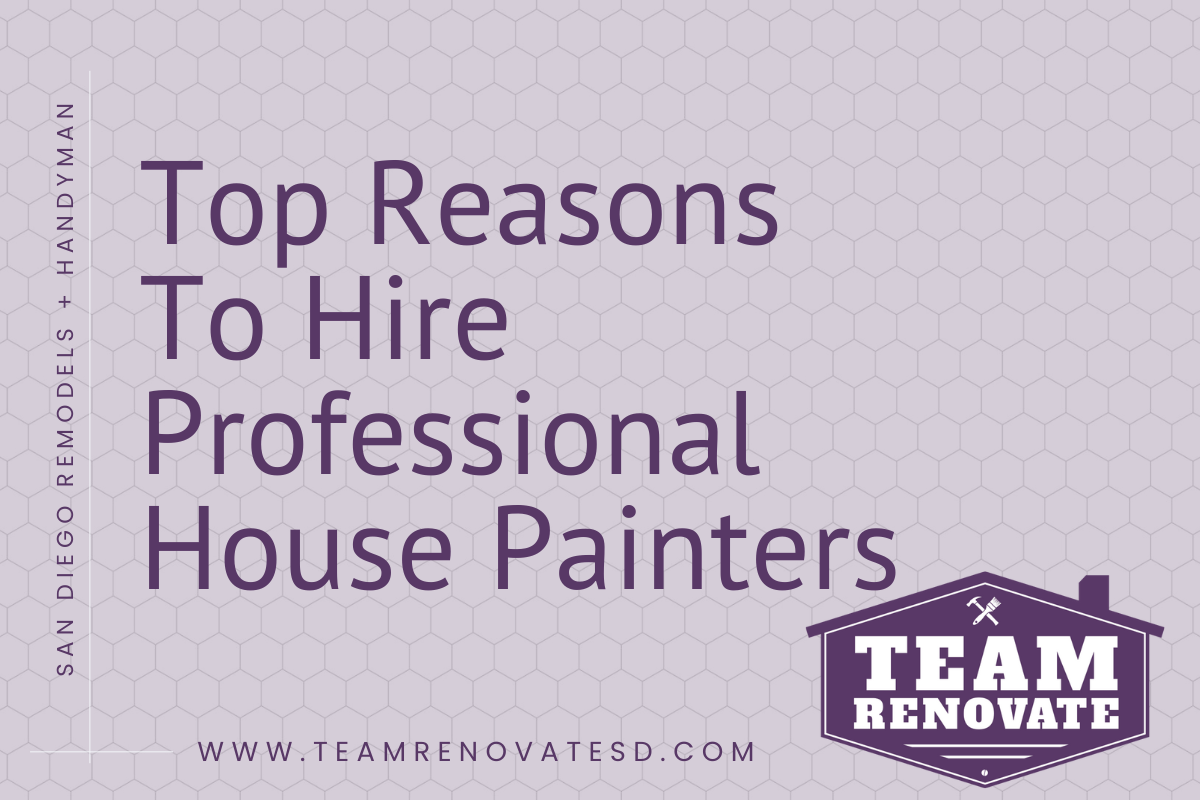 Blog Cover for Top Reasons To Hire Professional House Painters
