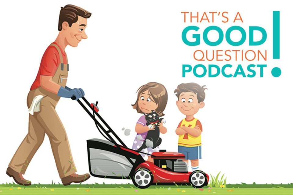 The Dr. Dean Show podcast episode 9: Am I a lawnmower parent?