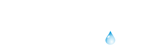 Primary Solutions Consulting Primary Solutions Consulting