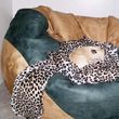 Poltrona sacco Nuvola e cagnolino
