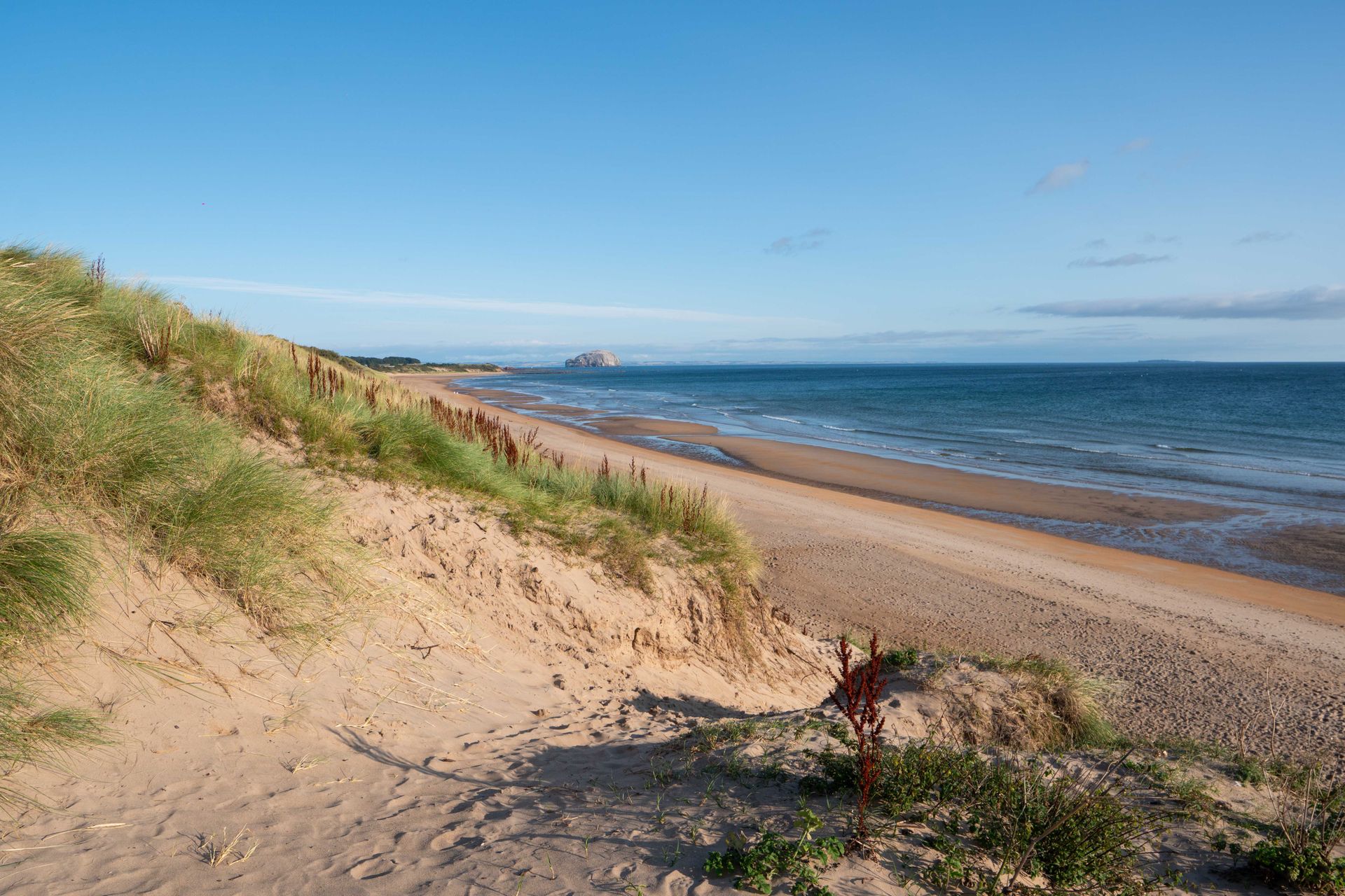 Swimming at Peffersands Nudist Beach