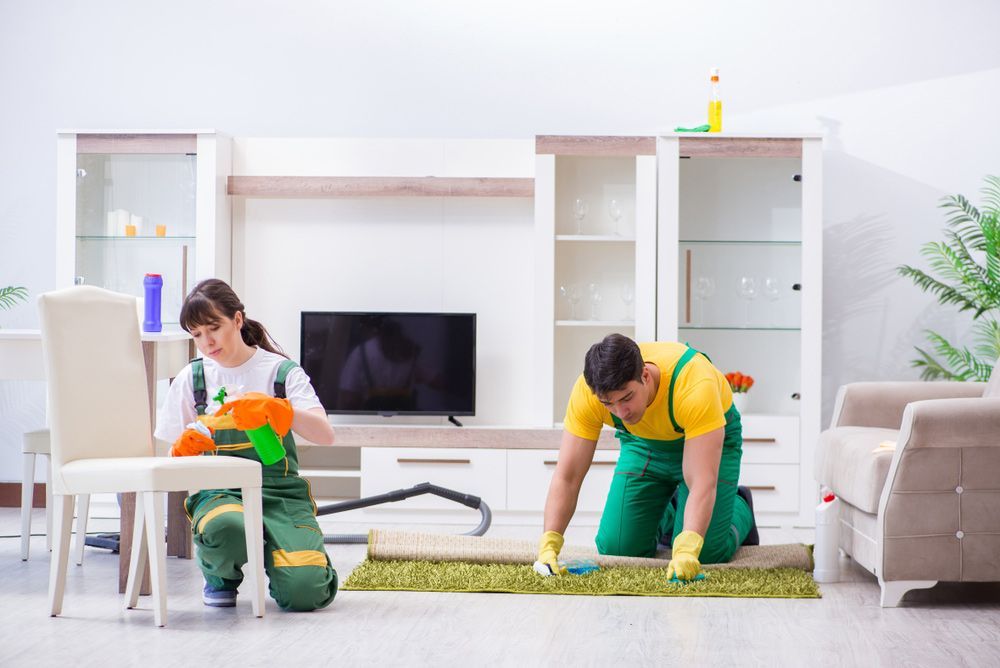 A Man and A Woman Are Cleaning a Rug in A Living Room — Haydyn's Cleaning In Point Vernon, QLD