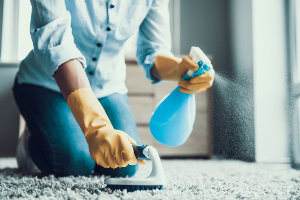 A Woman Is Kneeling on The Floor Cleaning a Carpet with A Spray Bottle — Haydyn's Cleaning In Urraween, QLD