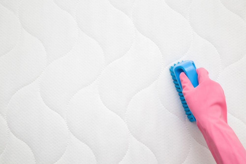 A Person in A Pink Glove Is Cleaning a Mattress with A Blue Brush — Haydyn's Cleaning In Pialba, QLD