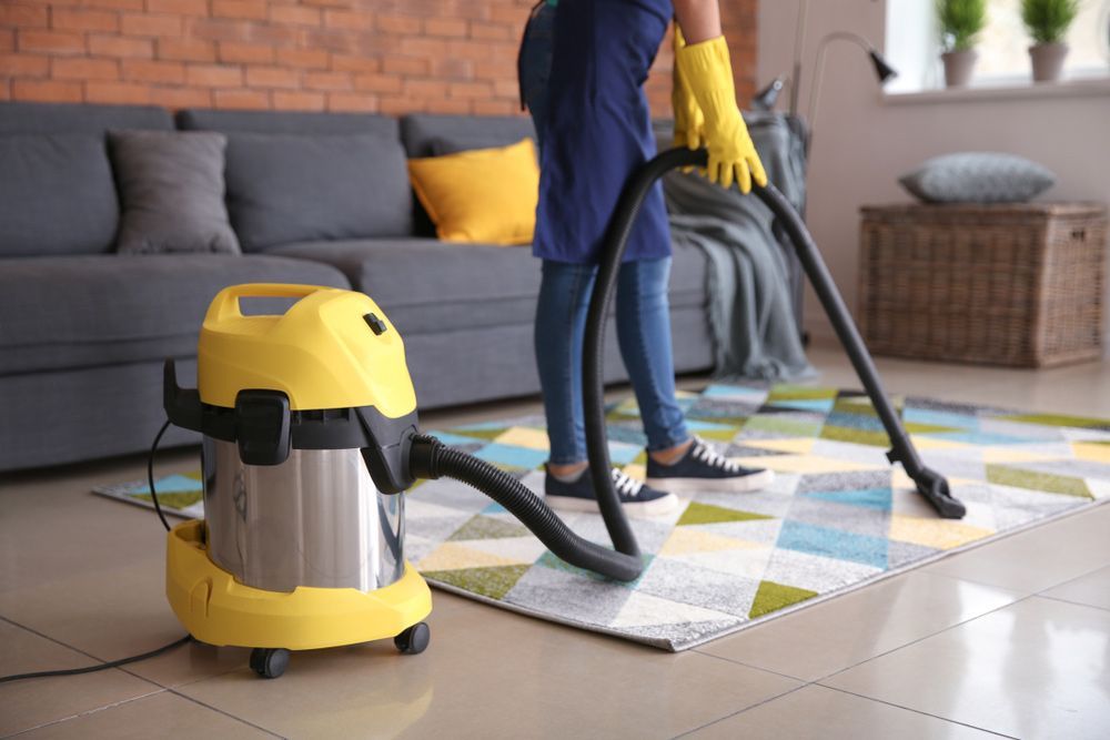 A Woman Is Using a Vacuum Cleaner to Clean a Rug in A Living Room — Haydyn's Cleaning In Point Vernon, QLD