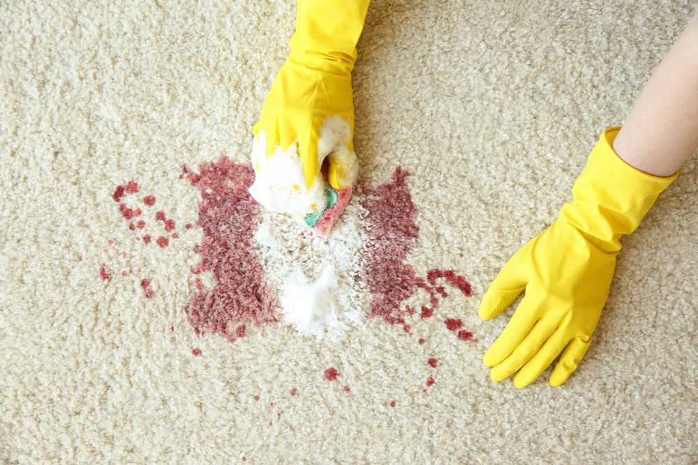 A Person Wearing Yellow Gloves Is Cleaning a Carpet with A Sponge — Haydyn's Cleaning In Pialba, QLD