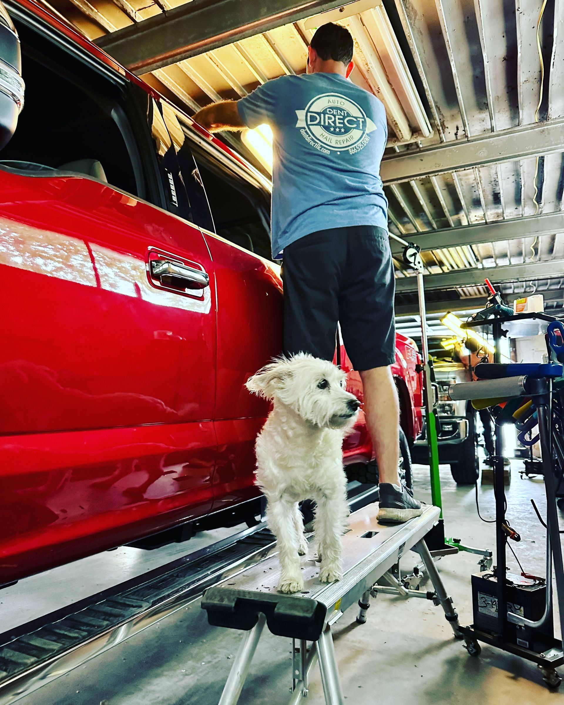 A man and a dog are working on a red truck in a garage.