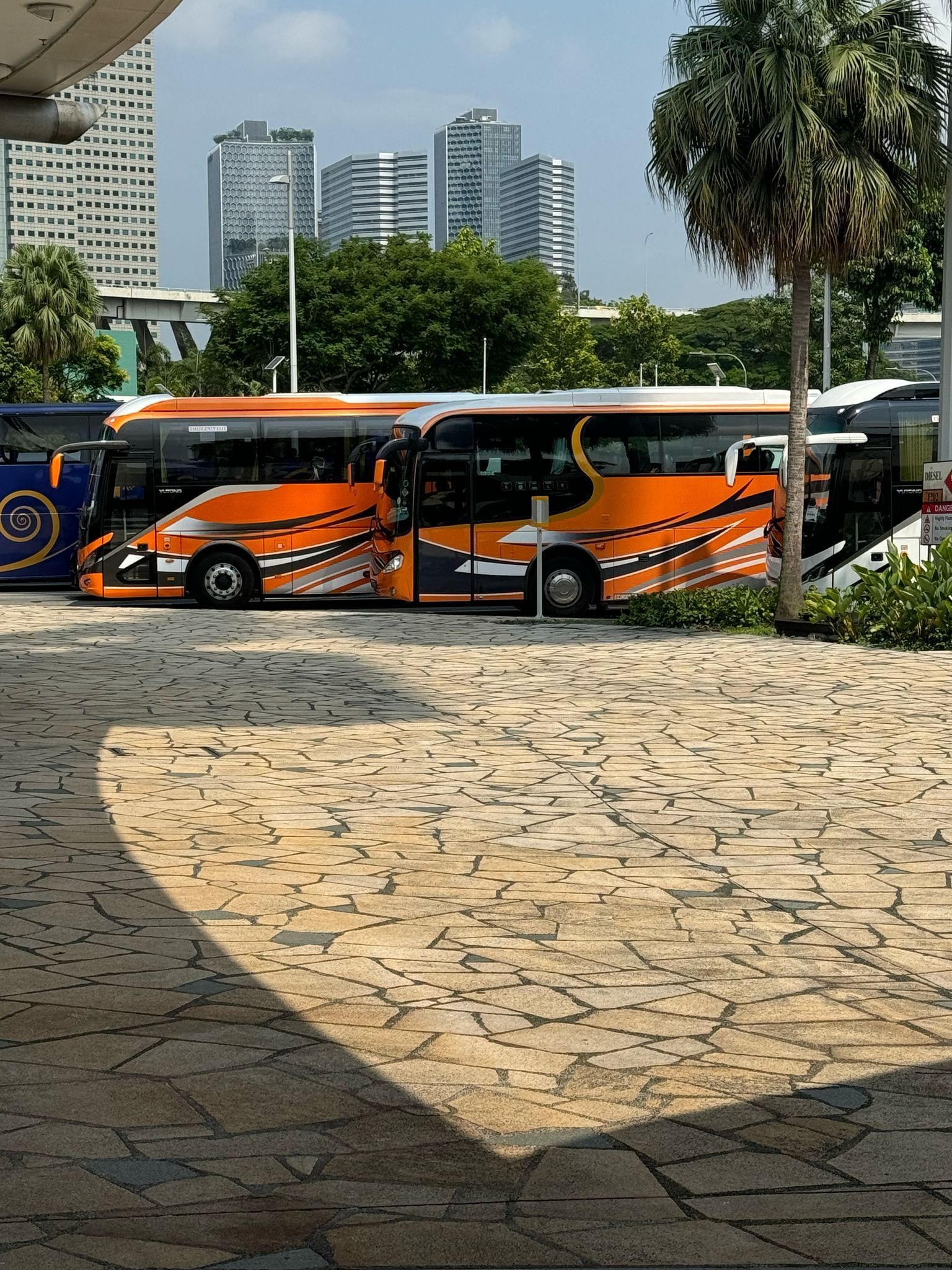 Two orange buses parked outdoors near a building and trees; sunny day.